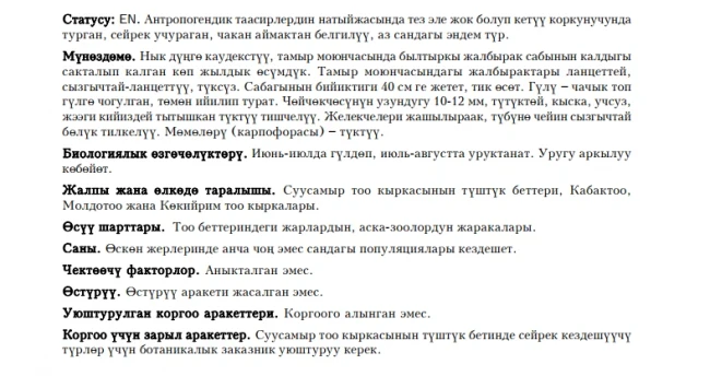 Susamyr Catchfly / Susamyr Tea Flower  Смолёвка суусамырская