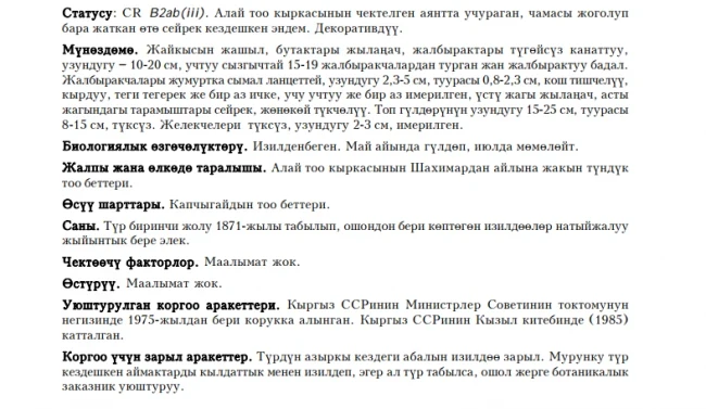 Рябинник Ольги / Ольга четиндиги / Olga’s Sorbaria