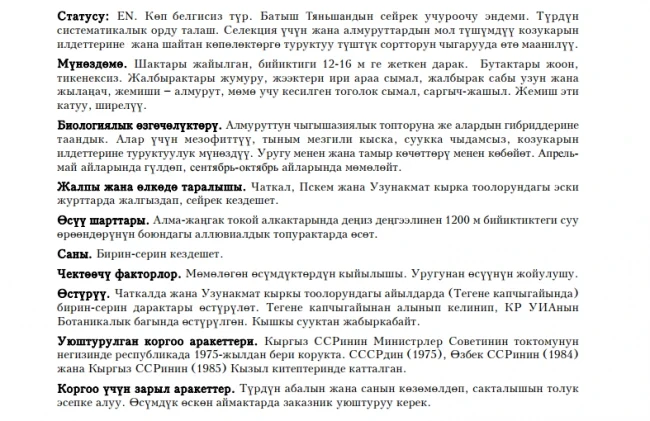 Middle Asian Pear / Орто Азия алмуруту / Груша Средней Азии