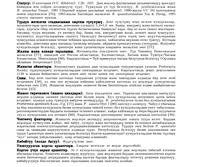 Amazon-Rossomyrmex / Black-bellied slave-making ant Russian Rossomyrmex