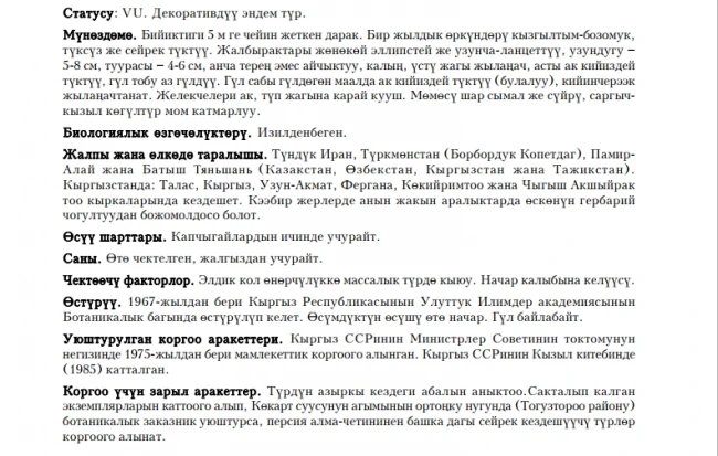 Персид рябина  Персия алма-четини  Persian Rowan