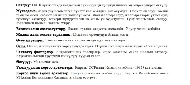 Chesneya villosa / Tuktuu tyinychyk / Kostyczewia, Pilose Chesneya