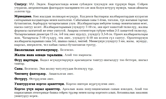 Козополянския пушистоплодная  Туктуу мёмёлуу козополянския / Wolly-fruited Kosopoljanskia