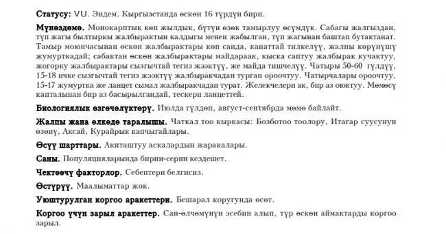 Жабрица синеголовниковая  Кёк башчалуу сесели  Seaholly-like Meadow Saxifrage