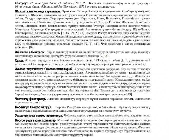 Turkestan Shikra / Shikra