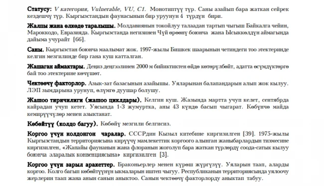 Griffon Vulture / Eastern Imperial Eagle