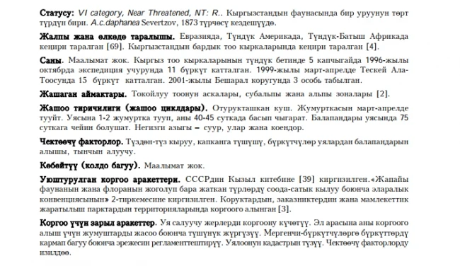 Berkut Burkut Golden Eagle