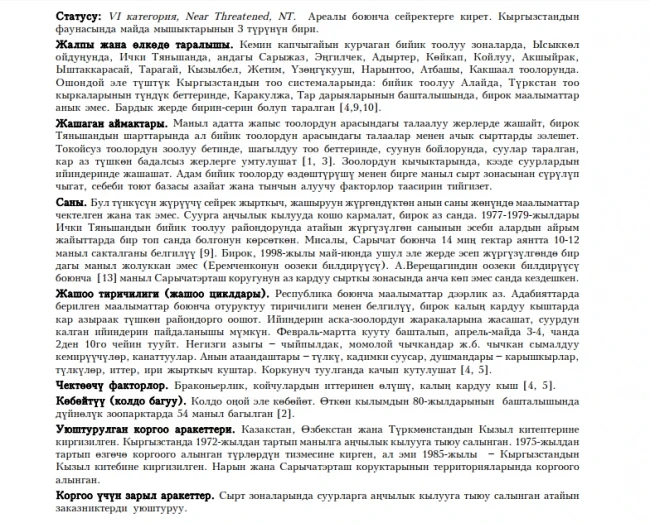 Manul / Manul / Pallas’s cat