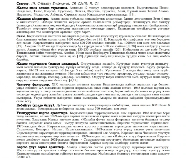 Snow Leopard / Ilbirs / Snow Leopard