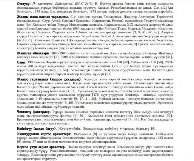 Noble deer (Tien Shan subspecies), Maral / Bughu (male), Maral (female) / Asiatic Red Deer, Tien Shan Maral, Tien Shan stag