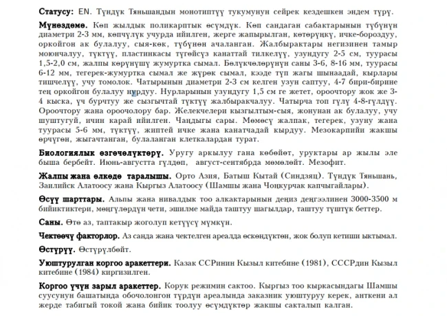 Glacial Pastinacopsis / Mönge Pastinacopsis / Pastinacopsis