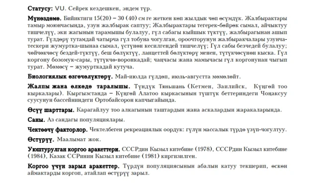 Kaufmannia Semenova / Semenov’s Kaufmannia