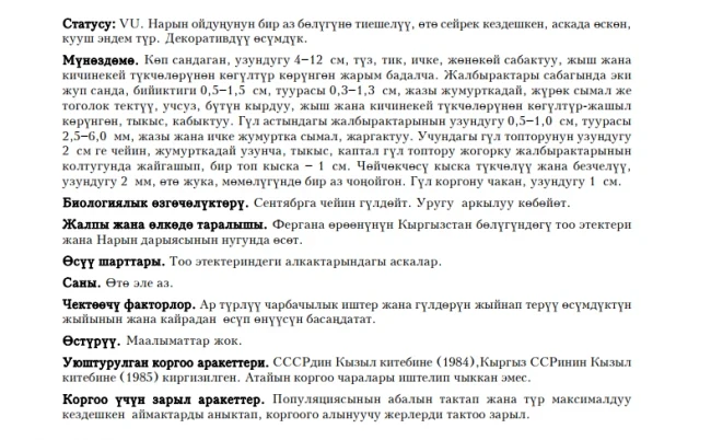 Шлемник андрахновидный / Андрахнадай скутеллярия / Andrachne-like Scullcup