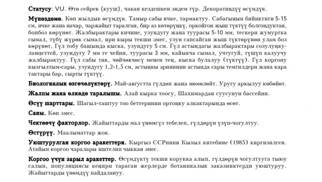 Шлемник котовниковидный / Непетадай скутеллярия / Catmint-like Scullcup