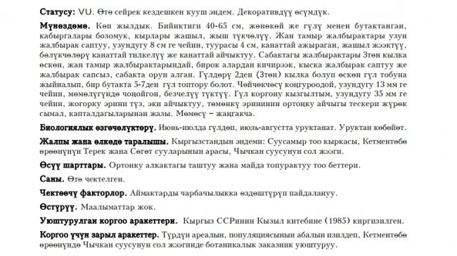 Vvedensky’s Sage / Шалфей Введенского, Введенский кёк башы