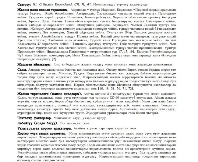 Дрофа / Чон тooдaк / Great Bustard