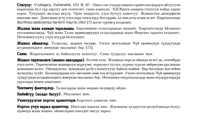 Avdotka / Zhilkychy chuldik Eurasian Stone Curlew