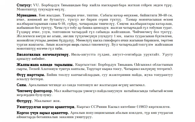Tianschaniella umbellifera / Chatyrchaluu Tianshanchik / Tianschaniella