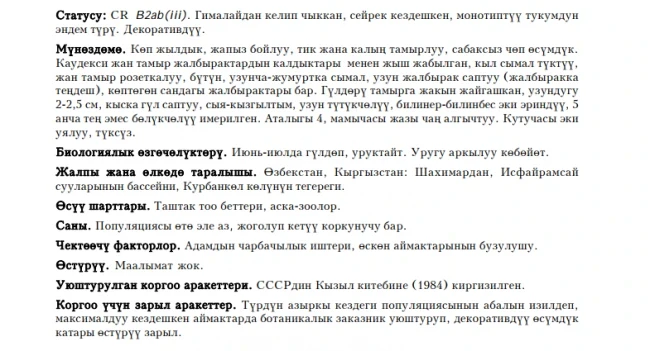 Наталиелла алайская / Алай наталиелласы / Nathaliella