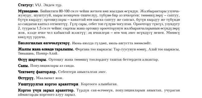 Василек алаискии / Алай кёп башы, тармал чёбу / Alai Centaury