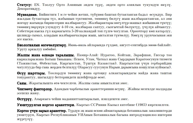 Lepidolopha Komarovii / Komarov’s Lepidolopha