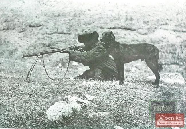 Охота с тайганом