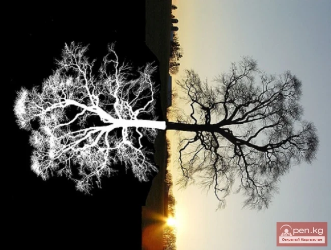 Рассвет, закат жизни и дружба