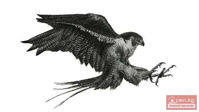 Сила сокола в несгибаемом духе