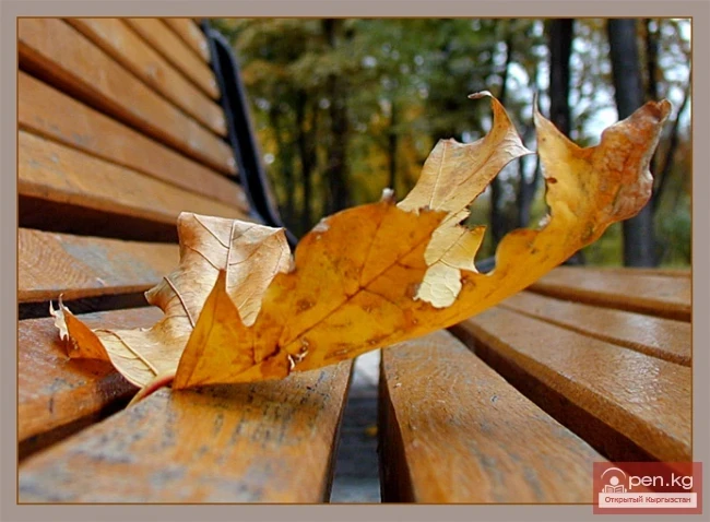 "Autumn Plein Air" in the Oak Park