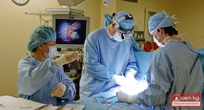 Эл аралык уюм Кыргызстандагы карыя дарыгерлерди колдоду