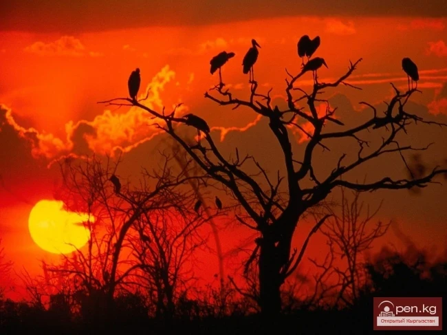 Botswana. Republic of Botswana