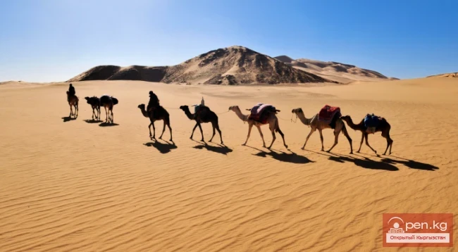 «Первая волна глобализации»: как животные проложили Великий шёлковый путь