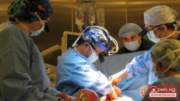 Восемь часов, которые спасли жизнь