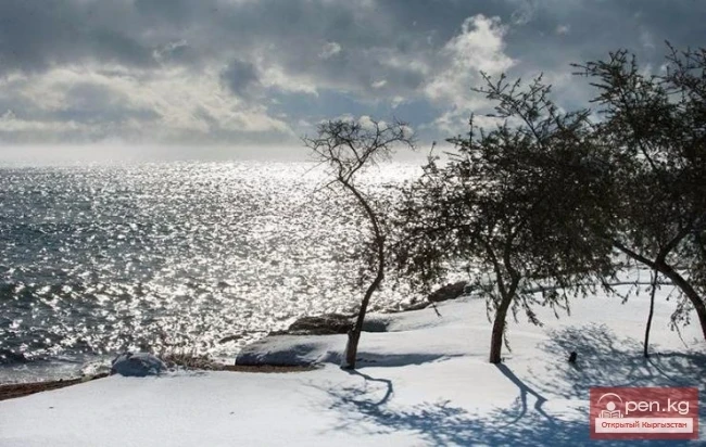 Поездки в горы и турбазы