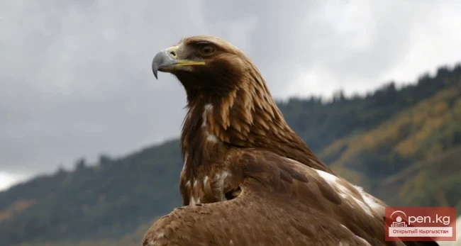 Дейв жана Дебра Корбеил Кыргызстан жөнүндө