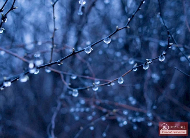 Ожидается понижение ночной и дневной температуры воздуха