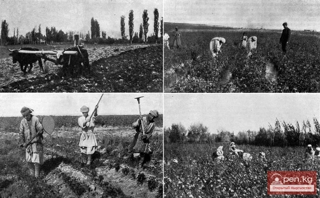 Osh. Economic Activities of the Urban Population