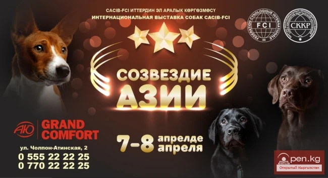 Эл аралык иттер көргөзмөсү «Азия жылдызы» CACIB-FCI