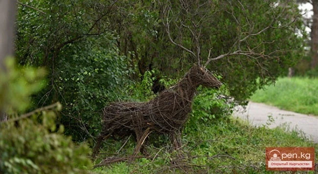Ботанический сад Бишкека  — аэросъемка
