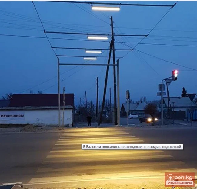 Эксцентричтүү "зебра" Балыкчыда пайда болду