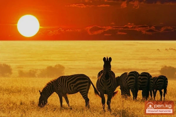 Republic of Mozambique