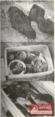 Repressions of the 1930s in Kyrgyzstan