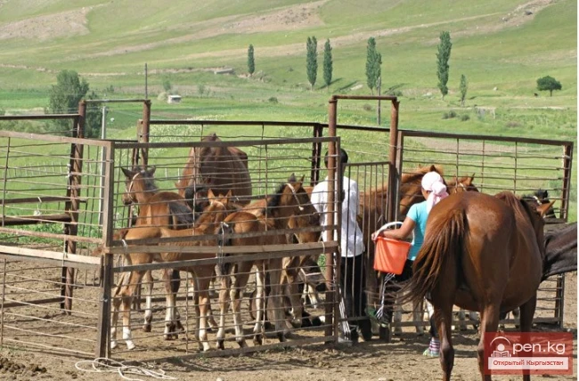 Chon Terek: farmer guest complex