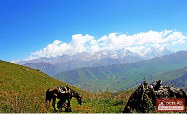 Эко-резорт «Кара Булак»