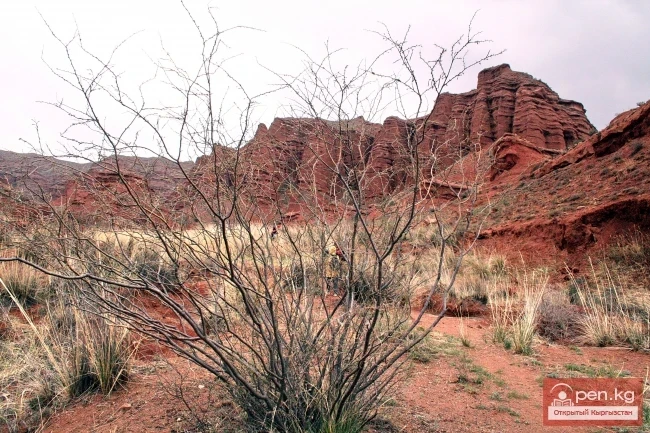 Кыргызстандын тоолору. Сүрөт  Влад Ушаков