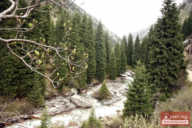 Кыргызстандын тоолору. Сүрөт  Влад Ушаков