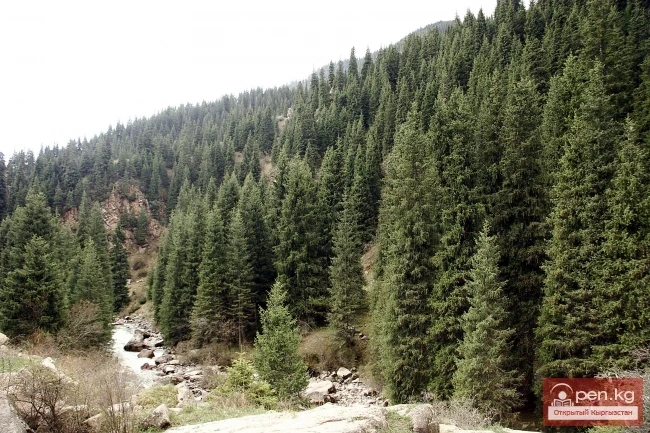 Кыргызстандын тоолору. Сүрөт  Влад Ушаков