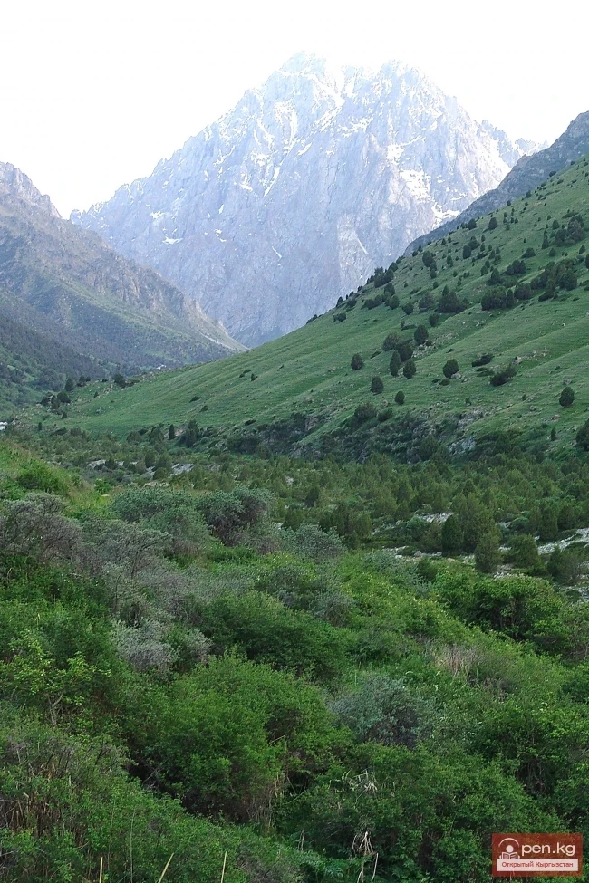 Кыргызстандын тоолору. Сүрөт  Влад Ушаков