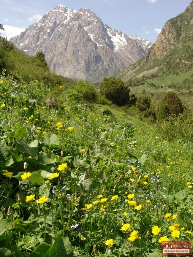 Кыргызстандын тоолору. Сүрөт  Влад Ушаков