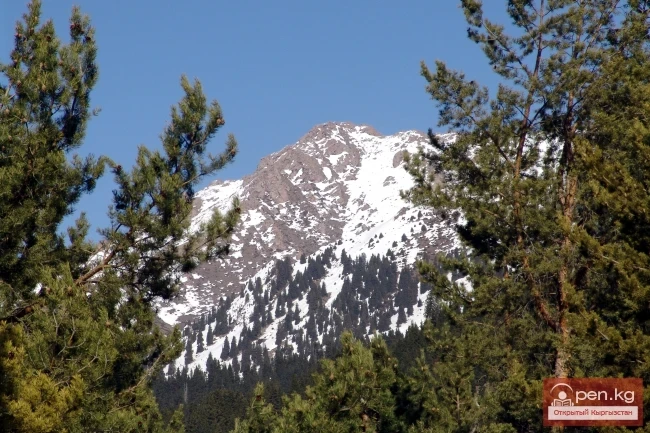 Кыргызстандын тоолору. Сүрөт  Влад Ушаков
